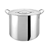 Bene Casa - Durable Stainless Steel Kettle with Lid and Handles (20 Quarts/5 Gallons) - Perfect Size for Extract Brewing - Dishwasher Safe