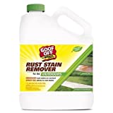 Goof Off GSX00101 1 Gallon Rust Stain Remover (Pack of 2)
