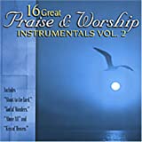 16 Great Praise and Worship Instrumentals, Vol. 2