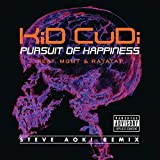 Pursuit Of Happiness (Steve Aoki Remix Feat. MGMT & Ratatat) [Explicit]