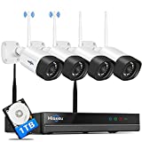 Dual Wi-Fi,2-Way Audio 2K WiFi Security Camera System,3 Megapixels,Expandable 8CH NVR,1TB Hard Drive,12V DC Power Cords,Mobile&PC Remote,IP66 Waterproof,Motion Alert,Plug&Play,24/7 Motion Recording