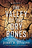 The Valley of Dry Bones: A Novel (End Times)