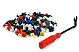 Auto Plastic Clips Mixed Car Push Retainer Clips with Fasteners Removal Tool Universal Plastic Rivets Car Body Retainer Door Bumper Fender Liner Push Pin Trim Panel Clip Assortment Screw Rivets 200PCS