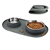 Double Dog Cat Bowls 2 Stainless Steel with No Spill Non-Skid Silicone Mat, Pet Food Water Feeder Bowl for Small Medium Large Dogs, Puppies, and Pets