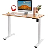Flexispot EG1 Standing Desk, Height Adjustable Desk Electric Sit Stand Desk 48 x 24 Inches with Splice Board Home Office Desks (White Frame + Maple Top)