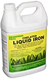 Southern Ag Chelated Liquid Iron, 1 Gallon