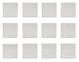 EISCO 12PK Streak Plates - for Testing Rocks & Specimens - Off-White Unglazed Porcelain - Great for Science Classrooms - Class Pack Labs