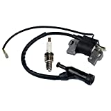 Panari Ignition Coil for GP5000 GP5500 GP6000E GP6500 GP6500E GP7500 GP7500E GP8000E XT8000E H5500 H6500 H7500 HW5500E HW6500 389cc 5KW 5.5KW 6KW 6.5KW Portable Generator