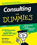 Consulting For Dummies