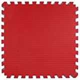 Greatmats Home MMA Foam Tile for Grappling, Jiu Jitsu, 2x2 Ft x 1.5 Inch, 10 Pack, Red/Blue