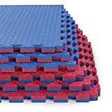 Xspec 1" Extra Thick 48 sq ft Reversible EVA Gym Foam Floor Mat Tiles (24" x 24"), 1 Year Limited Warranty, Steel Pattern, 12 pcs, Blue & Red