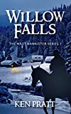 Willow Falls (The Matt Bannister Series Book 1)