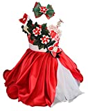 Jennifer G221A Design Christmas Toddler Baby Newborn Little Girl's Pageant Party Christmas Dress RED Size 18-24M