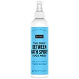 Natural Rapport Male Dog Cologne Spray with Amber & Sandalwood Scent - The Only Between Bath Spray Dogs Need - Convenient, Between-Bath Dog Deodorant Spray and Pet Urine Odor Eliminator Perfume (Male, 8 fl oz.)