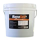 MagnaGard Plus Gastric Support Supplement for Horses with Omega 3s, 20 lbs Bucket - Equine gastric ulcers, Calming