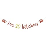 I'm 20 Bitches Banner, 20th Birthday Party Decor, Funny Twenty Years Old Birthday Banner, Girl's 20th Birthday Party Decorations (Rose Gold)