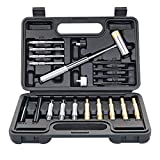 BESTNULE Roll Pin Punch Set, Gunsmithing Punch Tools, Made of Solid Material Including Steel Punch and Hammer, Ideal for M1911 and Other Pistols with Organizer Storage Container