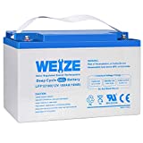 WEIZE 12V 100AH Deep Cycle Gel Battery Rechargeable for Solar, Wind, RV, Marine, Camping, Wheelchair, Trolling Motor and Off Grid Applications