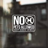 Vinyl Wall Art Decal - No Pets Allowed Except Service Animals - 8.7" x 12" - Modern White Informative Sign for Store Front Restaurant Business Building Shop Indoor Outdoor (White)