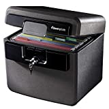 SentrySafe HD4100 Fireproof Safe and Waterproof Safe with Key Lock 0.65 Cubic Feet , black