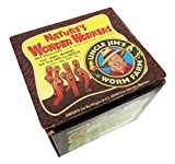 Uncle Jim's Worm Farm Live Super Red European Nightcrawlers for Composting and Garden Soil Aeration | Large Live Nightcrawlers Improve Soil Structure and Quality for Healthier Gardens | 100 Count