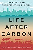 Life After Carbon: The Next Global Transformation of Cities