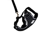 RC Pet Products Adventure Kitty Harness, Cat Walking Harness, Medium, Black (53804001)