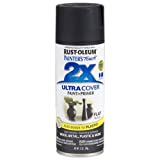 Rust-Oleum 334020 Painter's Touch 2X Ultra Cover Spray Paint, 12 oz, Flat Black