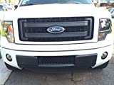 EcoBoost Grilles 2009-2014 F150 Lower Bumper Grille Black OEM Style Durable ABS Plastic Lower Bumper Insert Grille - Accesspeed 7002-1402, Fits 2009 2010 2011 2012 2013 2014 F-150 Trucks