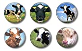 Cute Locker Magnets For Teens - Funny Cows - Fun School Supplies - Whiteboard Office or Fridge - Gift Set (Cows)