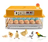 Incubators for Hatching Eggs Automatic Egg Turning Humidity Control Chicken Quail Duck 36 Egg