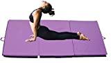 Pro-Gymnastics Exercise Mat 6’x4’ Tri-Fold 2" Thick Folding Gymnastics Tumble Mat, 2 Carrying Handles for Yoga, Aerobics, Mixed Martial Arts, Home Gym Protective Flooring Workout Mat Purple