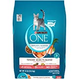 Purina ONE Natural Dry Cat Food, Tender Selects Blend With Real Salmon - 22 lb. Bag