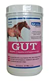 Uckele Gut Pellets, Horse Supplement, for Healthy Digestion, 2.7lb