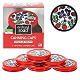 Mason Jar Lids - Decorative Canning Caps Fit Regular Mouth Mason Jars - Fruit Design - Pack of 6