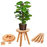 Wood Plant Stand for Indoor Plants, Mid Century Flower Pot for Wood Plant(Holds Up to 300lbs,11" D x 12" H),Plant Holder for Patio Garden, Living Room, Corner Balcony and Bedroom, Small Child Stool