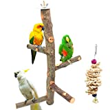 suruikei Bird Perch Nature Apple Hard Wood Stand, Parrot Stand Toy Branch Platform Paw Grinding Stick for Small Parakeets Cockatiels Conures Parrots Love Birds Finches Cage Accessories (Set 1)