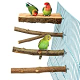 4 Pack Natural Wood Bird Perch for Bird Cages,Parrot Stand Perch Platform Exercise Playground Toys Paw Grinding Stick Perch Stand Cage Accessories for Budgies Cockatiel Conure Parakeet Lovebirds (H01)