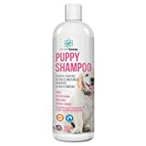 PET CARE Sciences 16 fl oz Tearless Puppy Shampoo and Conditioner - Anti Itch Dog Shampoo Sensitive Skin - Coconut Oil Oatmeal Pet Shampoo for Puppies