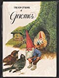 The Pop-Up Book of Gnomes