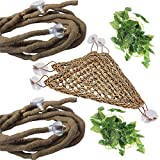 PINVNBY Bearded Dragon Tank Accessories Hermit Crab Climbing Toys Leopard Gecko Hammock Lizard Lounger Vines Flexible Leaves Habitat Decor with Suction Cups for Chameleon,Reptile,Snakes