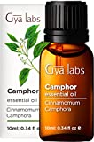 Gya Labs Camphor Essential Oil (0.34 Fl Oz (Pack of 1)) - Fresh, Sharp & Slightly Woody Scent