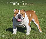 For the Love of Bulldogs 2022 14 x 12 Inch Monthly Deluxe Wall Calendar with Foil Stamped Cover and Stickers by StarGifts, Animal Dog Breeds DogDays