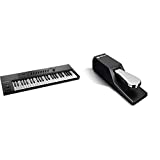 Native Instruments Komplete Kontrol A49 Controller Keyboard & M-Audio SP 2 | Universal Sustain Pedal with Piano Style Action for MIDI Keyboards, Digital Pianos & More