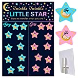 Gender Reveal Games Voting Board with Stand,48Pcs Team Boy Team Girl Tally Stickers for Party Guests Cast Your Vote Pin Game,Twinkle Twinkle Little Star Theme Poster