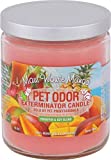 SPECIALTY PET PRODUCTS Maui Wowie Mango Pet Odor Exterminator 13 Ounce Jar Candle - Pack of 2