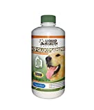 LIQUIDHEALTH 32 Oz K9 Liquid Glucosamine for Dogs, Puppies and Senior Canines - Chondroitin, MSM, Hyaluronic Acid  Joint Health, Dog Vitamins Hip Joint Juice, Dog Joint Oil