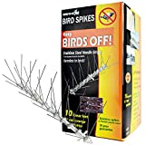 Bird-X STS-10-R Regular Width 6-inch Stainless Steel Bird Spikes, Metal Roof Guard Pigeon Prevention, Rodent Deterrent, Animal and Pest Control Supplies, 10 feet