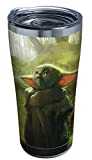 Tervis Triple Walled Star Wars - The Mandalorian Child Gazing Insulated Tumbler Cup Keeps Drinks Cold & Hot, 20oz, Stainless Steel