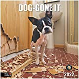 RED EMBER Dog-Gone It! 2022 Hangable Wall Calendar - 12" x 24" Opened - Thick & Sturdy Paper - Giftable - Cute Dog - Funny White Elephant, Secret Santa